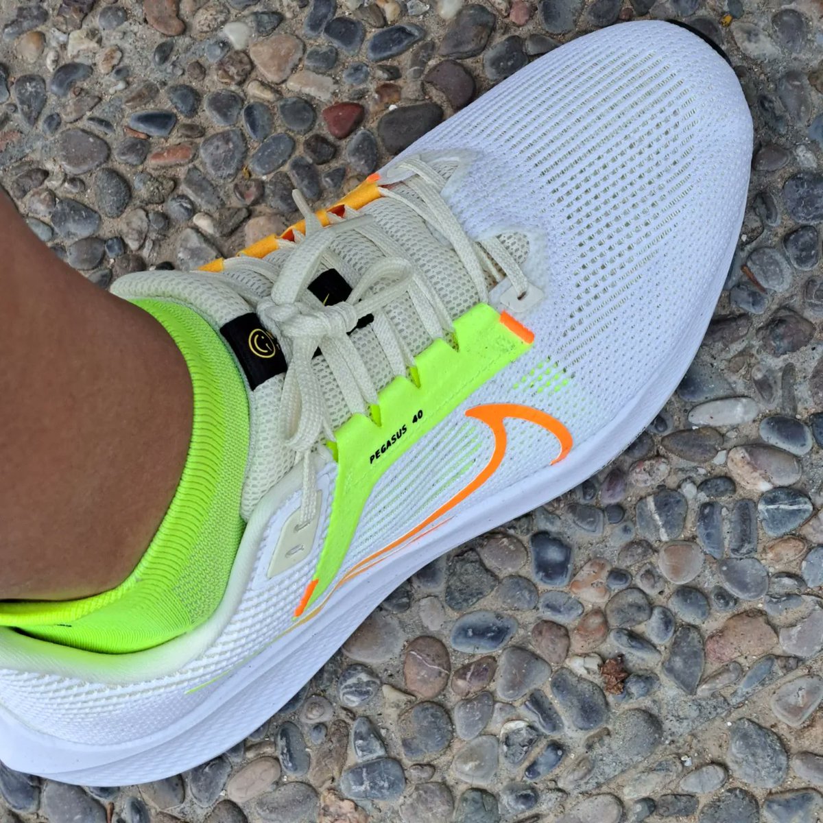 danisoriano70's tweet photo. Un poquito de activación con las nuevas zapas y mañana a disfrutar de la Marxa de l'Ordi
9️⃣7️⃣0️⃣‼️‼️
#runeveryday
#correcat
#day970
#metodosori
#RonhillSpain
#drinkingrunners #kmsxalimentos #nofunnorun
#mrfree
#amibola
#retodravet
#pieldemariposa https://t.co/LdoKBxWPlP