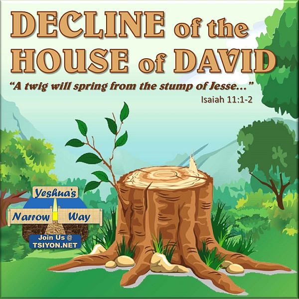eliyahubendavid's tweet photo. Read this week's Tsiyon News edition:  Receive a Double Blessing https://t.co/TJ9FJxt5BJ   

Join me this evening at 8PM for our live stream, and again tomorrow night for our Shavuot celebration and teaching. https://t.co/7eKVprvgWV