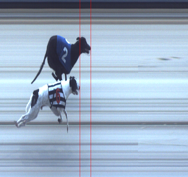 romfordracing's tweet photo. Photo Finish Race 5📸

🥇2 To Tone Blake 
🥈6 Lemon Nicky
🥉1 Thatchers Lunch

Winning Time - 24.39 https://t.co/v6AB7fahsh