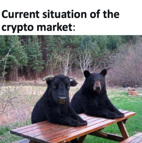 🐊 Billy6659 ZooVerse 🐊 (@error404error49) on Twitter photo 