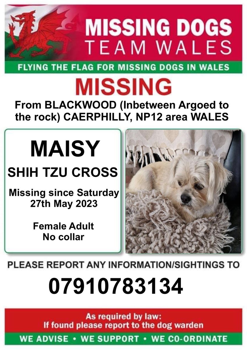 ‼️MAISY IS MISSING ON A WALK FROM #BLACKWOOD (Inbetween Argoed to the rock) #CAERPHILLY, #NP12 area #WALES‼️ 
‼️Saturday 27th May 2023
‼️Please keep a lookout for her and ring with any Information/sightings