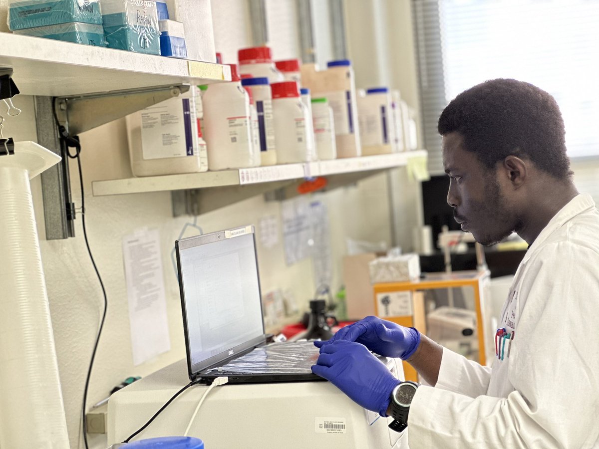 Ramsey Lab tweet media