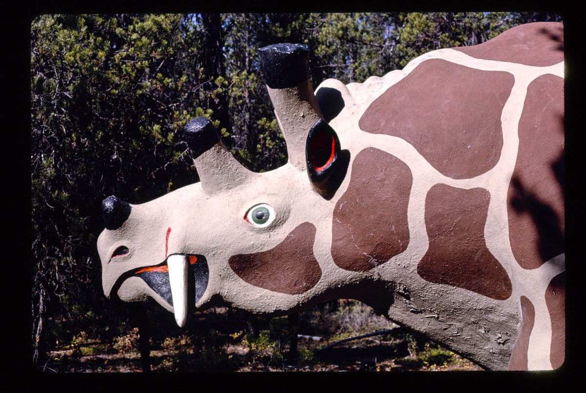thunderbeast park, uintatherium head angle view, route 97, chiloquin, oregon, 1987