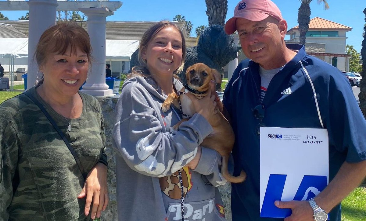 Little Leia has a big new family including a cat sibling and a dog sibling. Everyobne is super excited 😁

#FriendsForLife #spcaLAadopt #spcaLAalum #HappyAdoption #AdoptDontShop