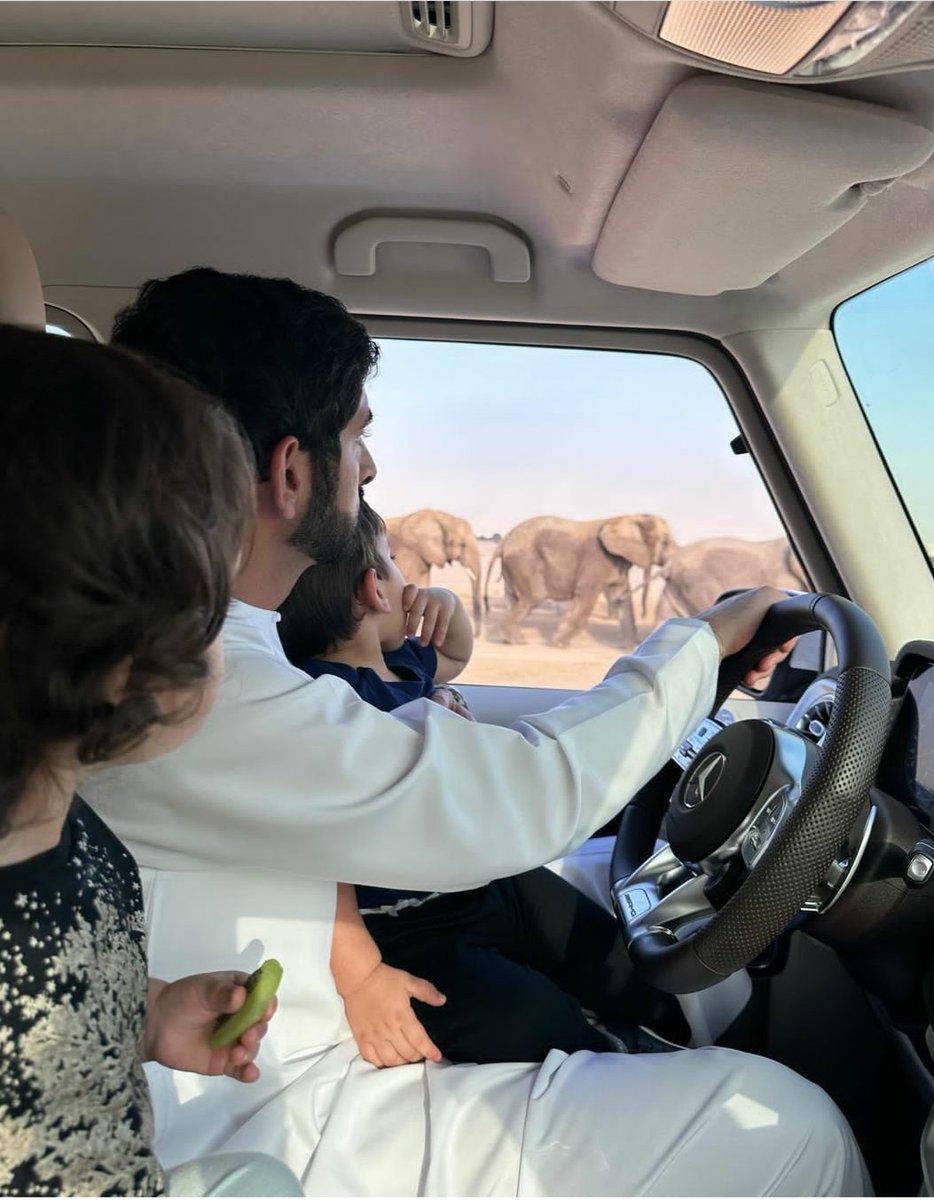 Nature's school in is season #safari in #Dubai #Desert #Elephant 🐘