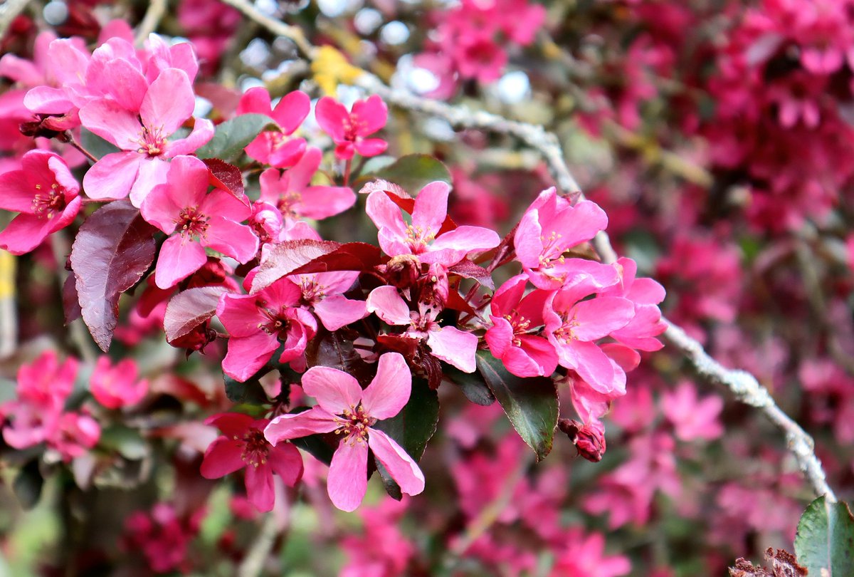 Have a lovely weekend! 🌸🌞🌸

#nature #relax #calmcado