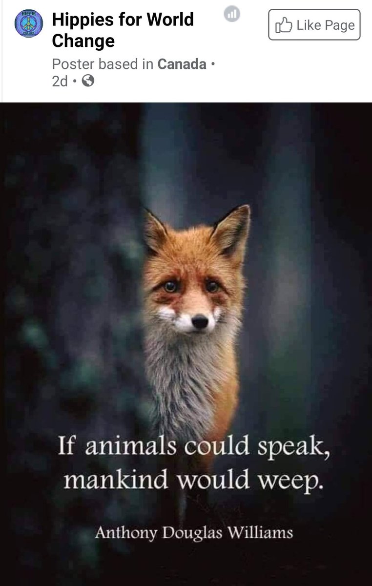 KF5LSA's tweet photo. I don't doubt it. 😔 https://t.co/T8xwlRBzbB