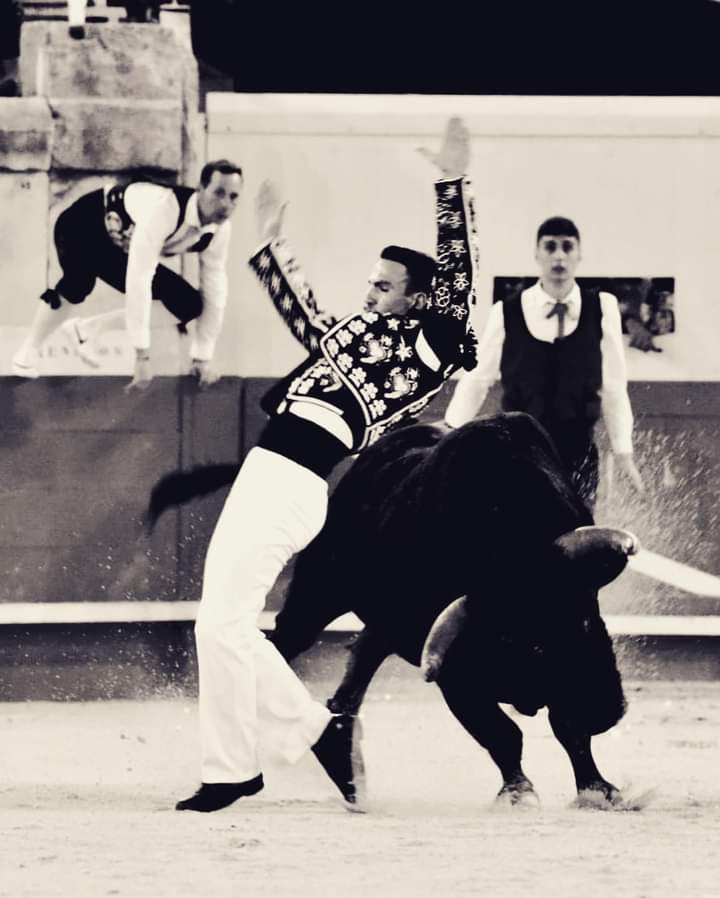 Félicitations !! 😊 #courselandaise #toros #nines #france <a href="/BrethesNadege/">Nadege Brethes</a> <a href="/Datilelbayo/">Baptiste Bordes</a>