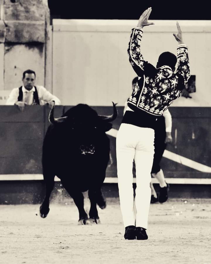 NathalieLamoth8's tweet photo. Félicitations !! 😊 #courselandaise #toros #nines #france @BrethesNadege @Datilelbayo https://t.co/2LcQNzywTV