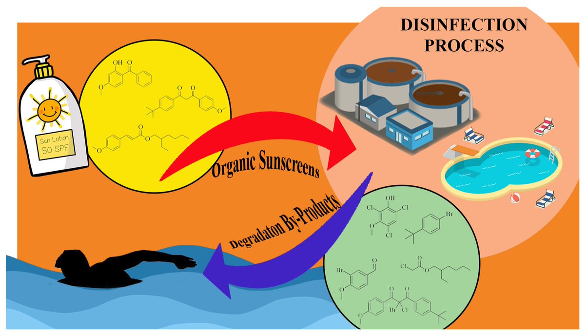 Molecules_MDPI's tweet image. 📌#sunscreens #chlorination #hypochlorite #acutetoxicity
#New #Publication “Environmental Fate of Organic Sunscreens during Water Disinfection Processes: The Formation of Degradation By-Products and Their Toxicological Profiles”
By Armando Zarrelli et al
👉mdpi.com/1420-3049/27/1…