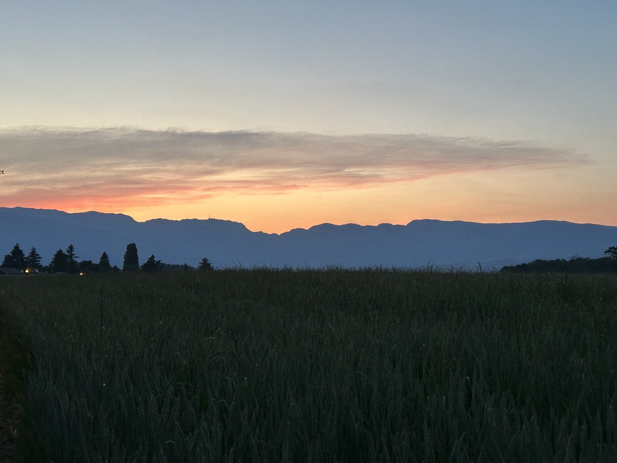 Jeremy Farrar tweet media