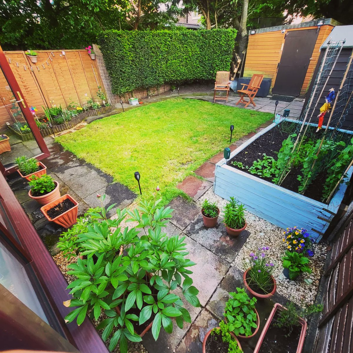 Long busy day sorting out the garden 🌻🌸🌼 Hard work but... We ♥️ it!
#gardening 
#ourgarden 
#flowerpower 
#flowersandveggies 
#lovegardening