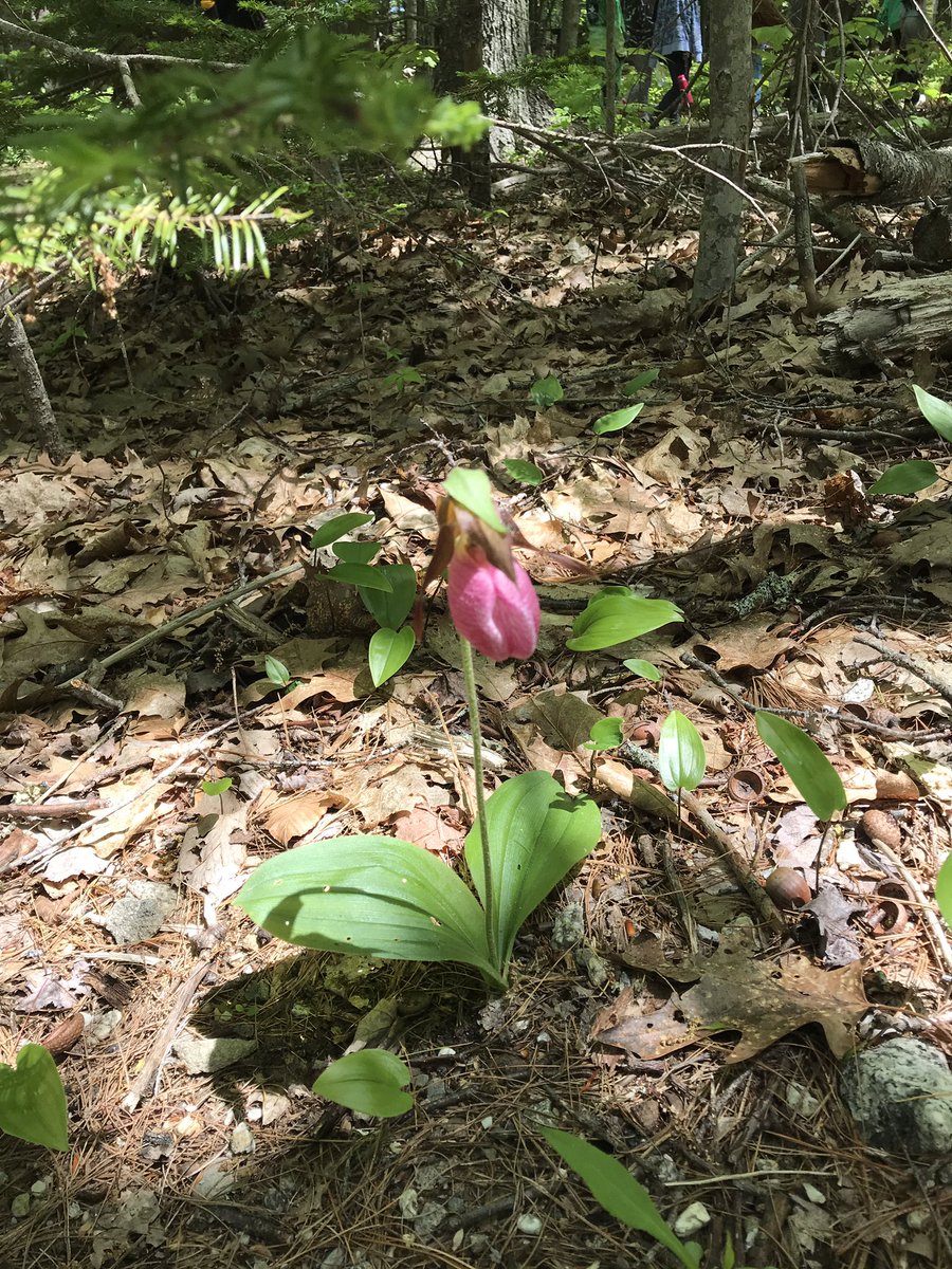 Brooke Teller tweet media