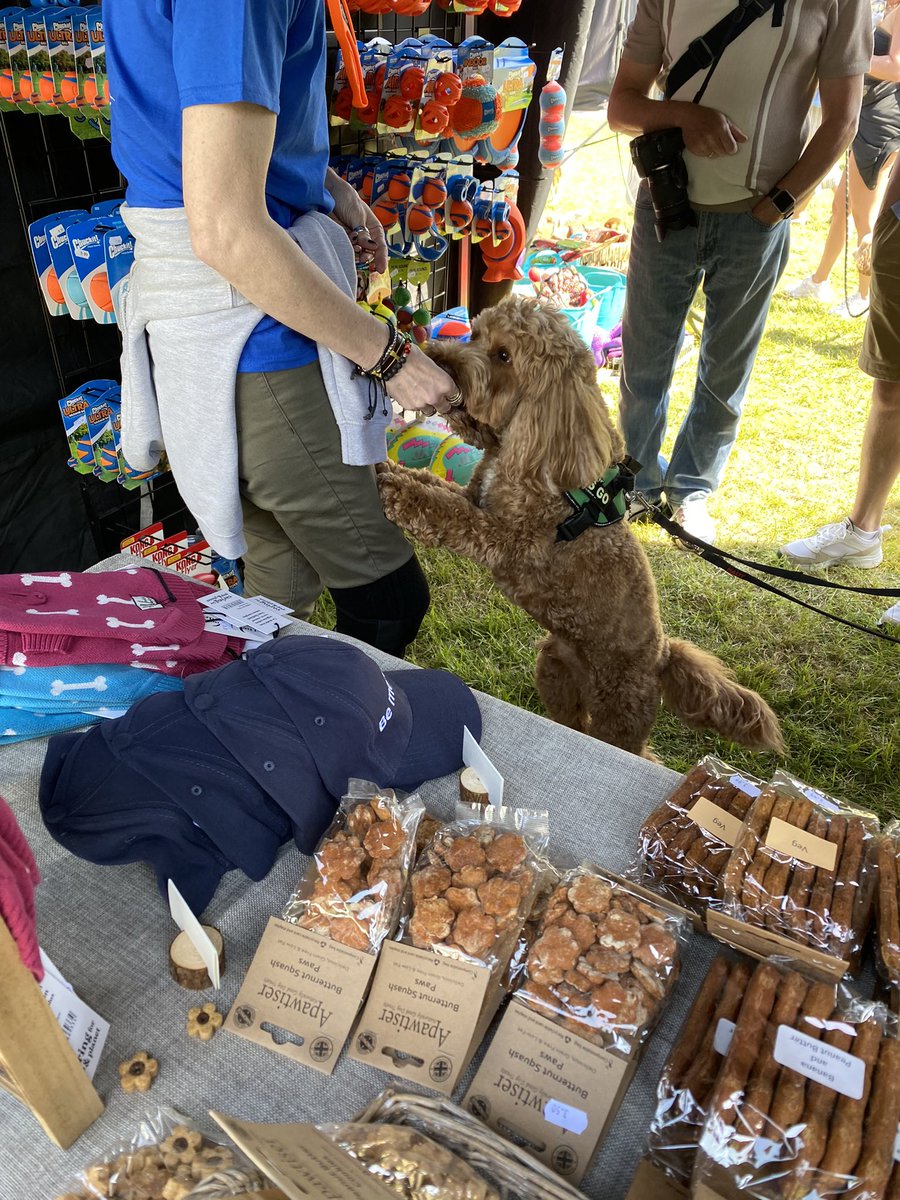 Thank you a million billions to our best pal @emmaaitkenF1 for helping us at DogFest today! Despite these pics, she did a lot of work as well as cuddle a lot of doggos 😂🐾🥰 
We’ve always believed that dogs instinctively know good, kind hearted people, and here’s the proof ❤️
