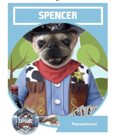 Q2:2-2 I love Spencer’s fun groups I took his place in like #GameTails  (fun trivia games & good friends!), #pawventures (a travel group going on trips all over the world), #pugtalk (a fun social hour & you don’t have to be a pug to join the fun!) & of course #OTLFP I adore!