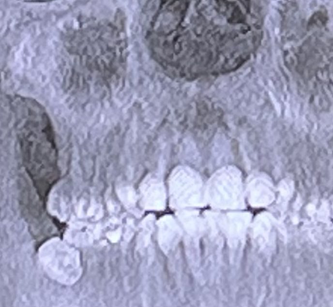 MonikaCinnyRoll 💫 3D Vtuber/Creator tweet media