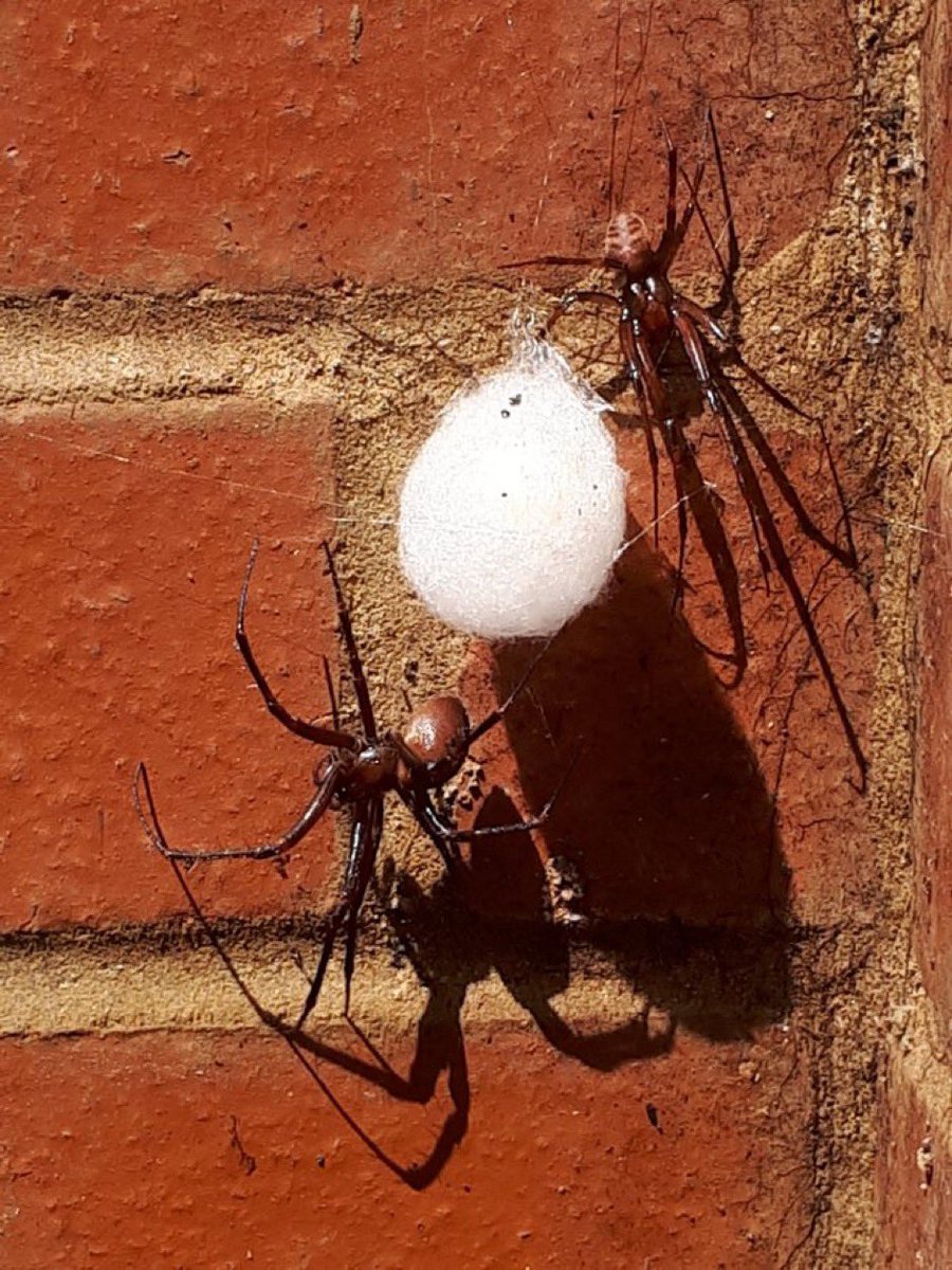 Mike Drew tweet media