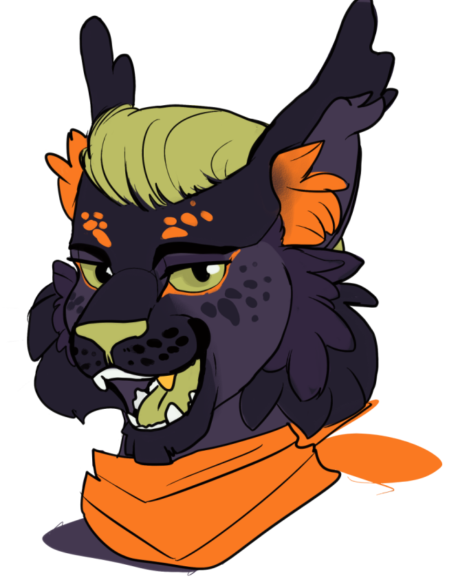 Wocky ✨ tweet media