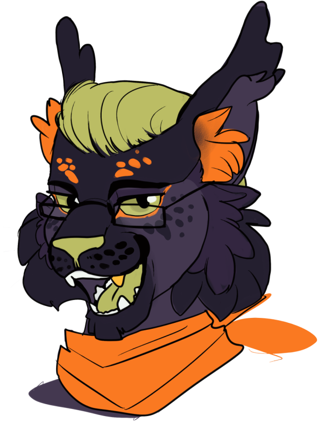 Wocky ✨ tweet media