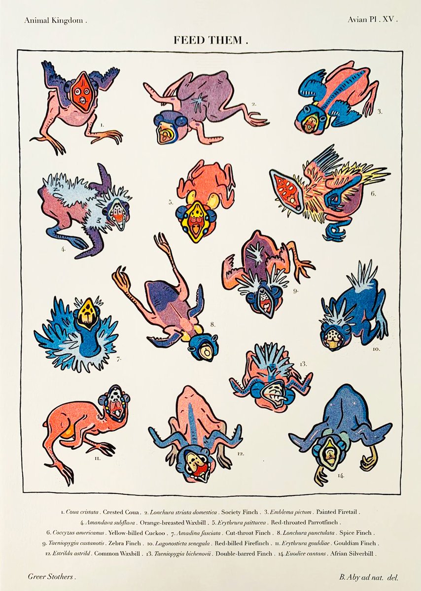 Here it is, the baby bird risograph!
