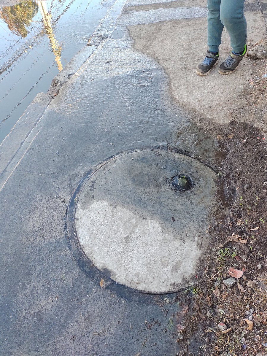 gatoparada's tweet photo. @aguas_andinas , doña Leticia esquina de la media luna, Quilicura. Alcantarilla rebasando... https://t.co/4Bb1RgJbWR