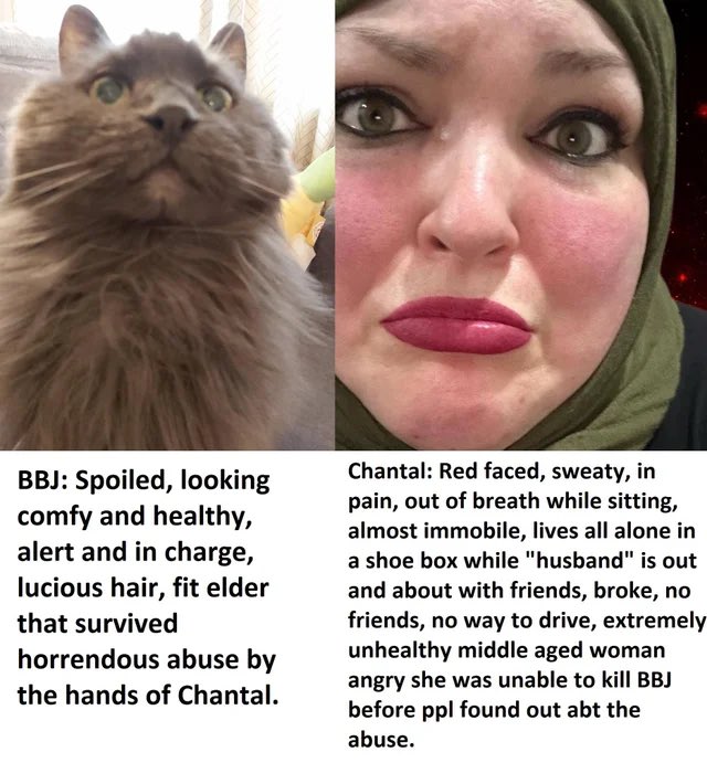 #FoodieBeautyAnimalAbuser  bbj is living her best life away from you chantal. Oh, and you may have some windows now but still horrible life your living being live roasted in Kuwait