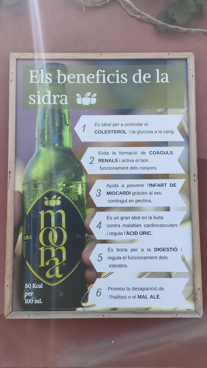 MonicaToldra's tweet photo. Molt agraïts a #MOOMA per la master class sobre el procés tecnològic de la sidra 🍏🍾 Visita 🔝 amb estudiants del Màster en Biotecnologia Alimentària #BioTecAl @UdGPolitecnica @EEL_EPS @univgirona #AprenEPS #FoodBiotechnology #FoodInnovation https://t.co/vzLcFv3RC1