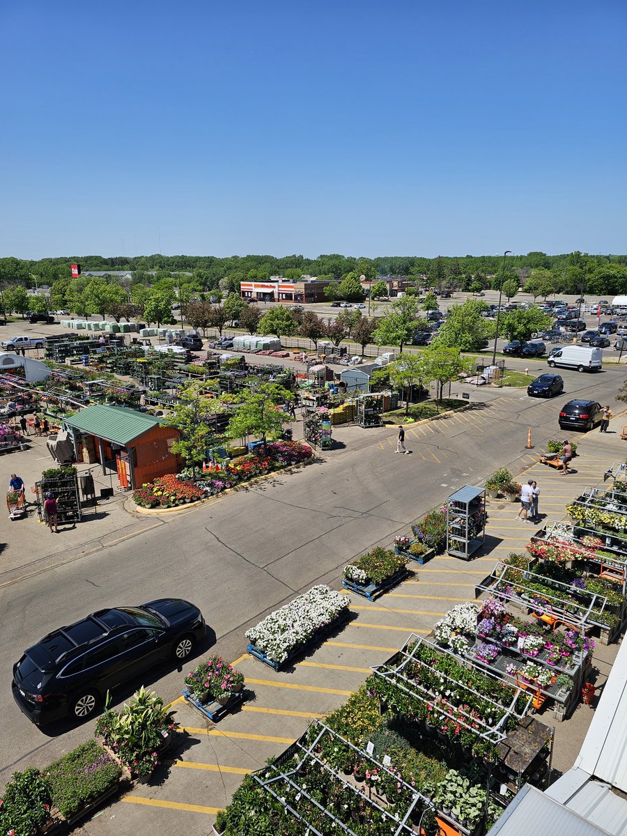 Ashley Weeda tweet media