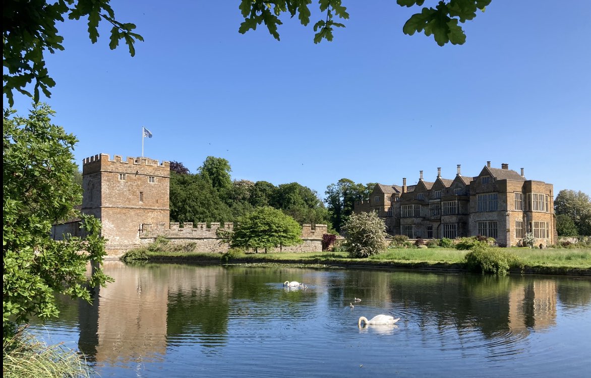 Seven little cygnets again this year. 
The castle is open to free flow visitors on Sunday and Bank Holiday Monday. 
You can also book a guided tour online.
broughtoncastle.com