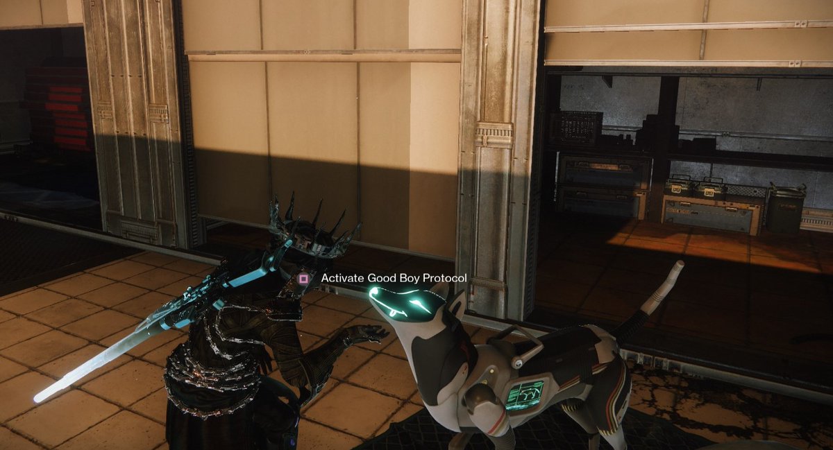 manicgremlin's tweet photo. the best thing they've added is ofc this Very Good Boy  who must be patted every time you go visit ada-1 or the drifter (idk how long it's been there, i only just noticed this week)
#Destiny2 https://t.co/GcXRRe11fb