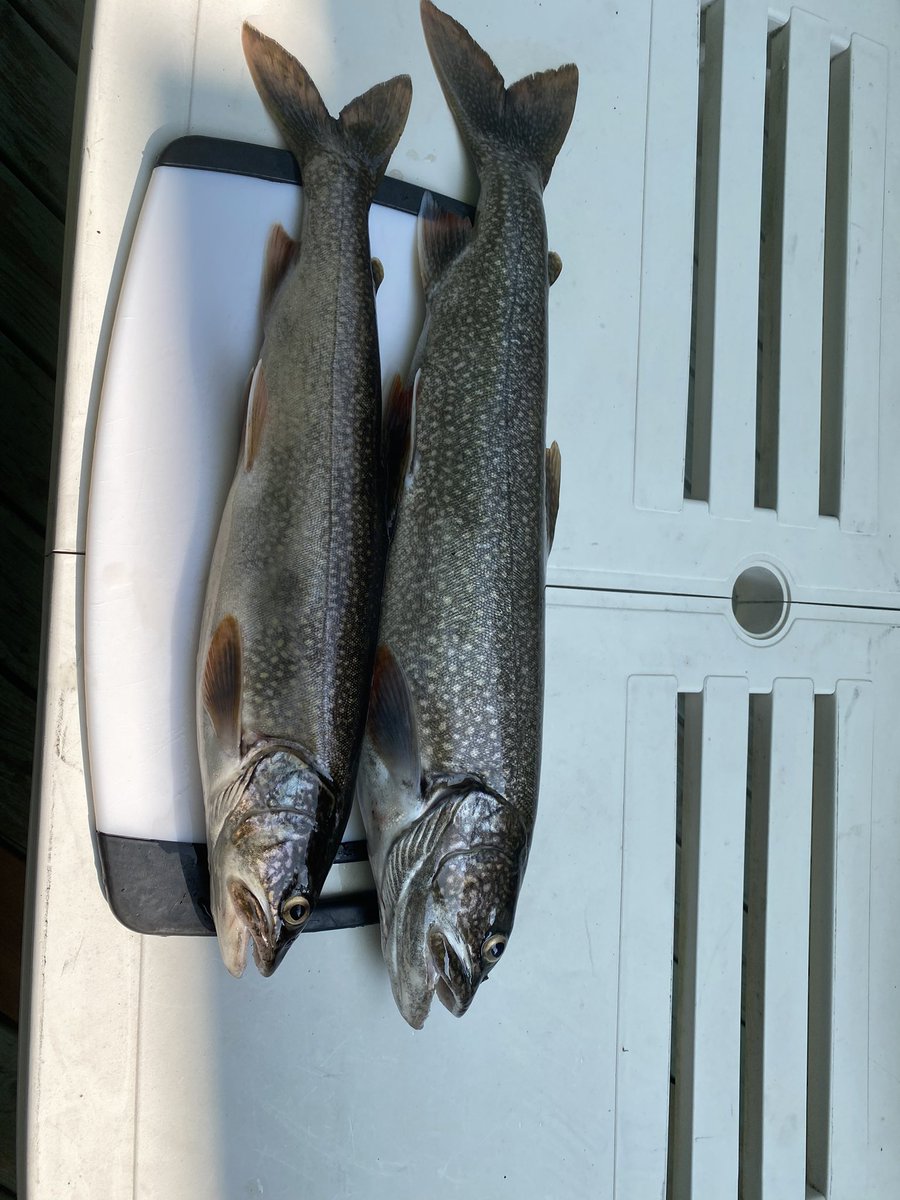 Nice day on the water for opening weekend #laketrout #fishing <a href="/BigRideauLake/">BigRideauLake</a>