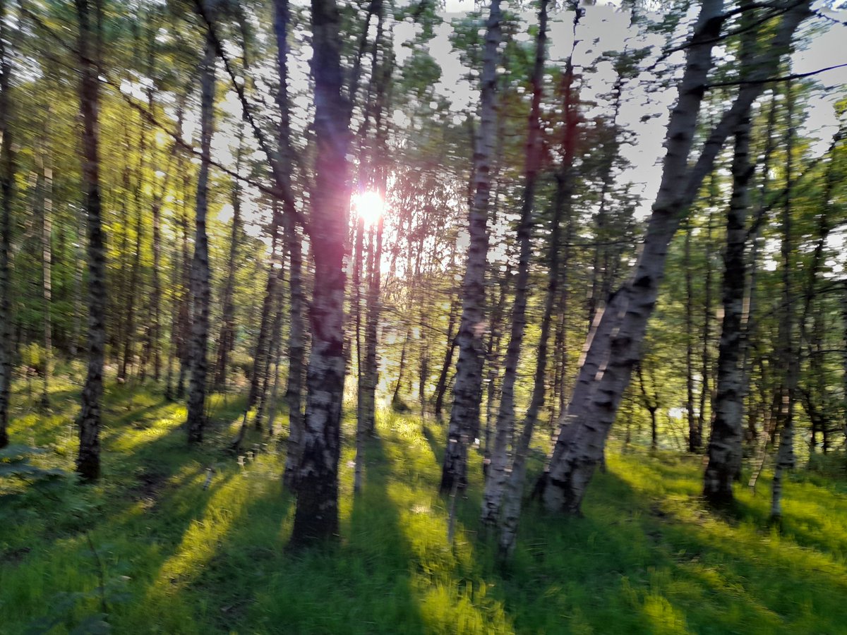 Congrats!! We have reached 100 posts on Our Outdoors app. Thanks to those that posted. Keep it up. 

If you want to support the campaign, download the app, visit during this beautiful sunny spell, post a pic. Keep this wonderful greenspace safe.

spotteron.app/apps/our-outdo…
