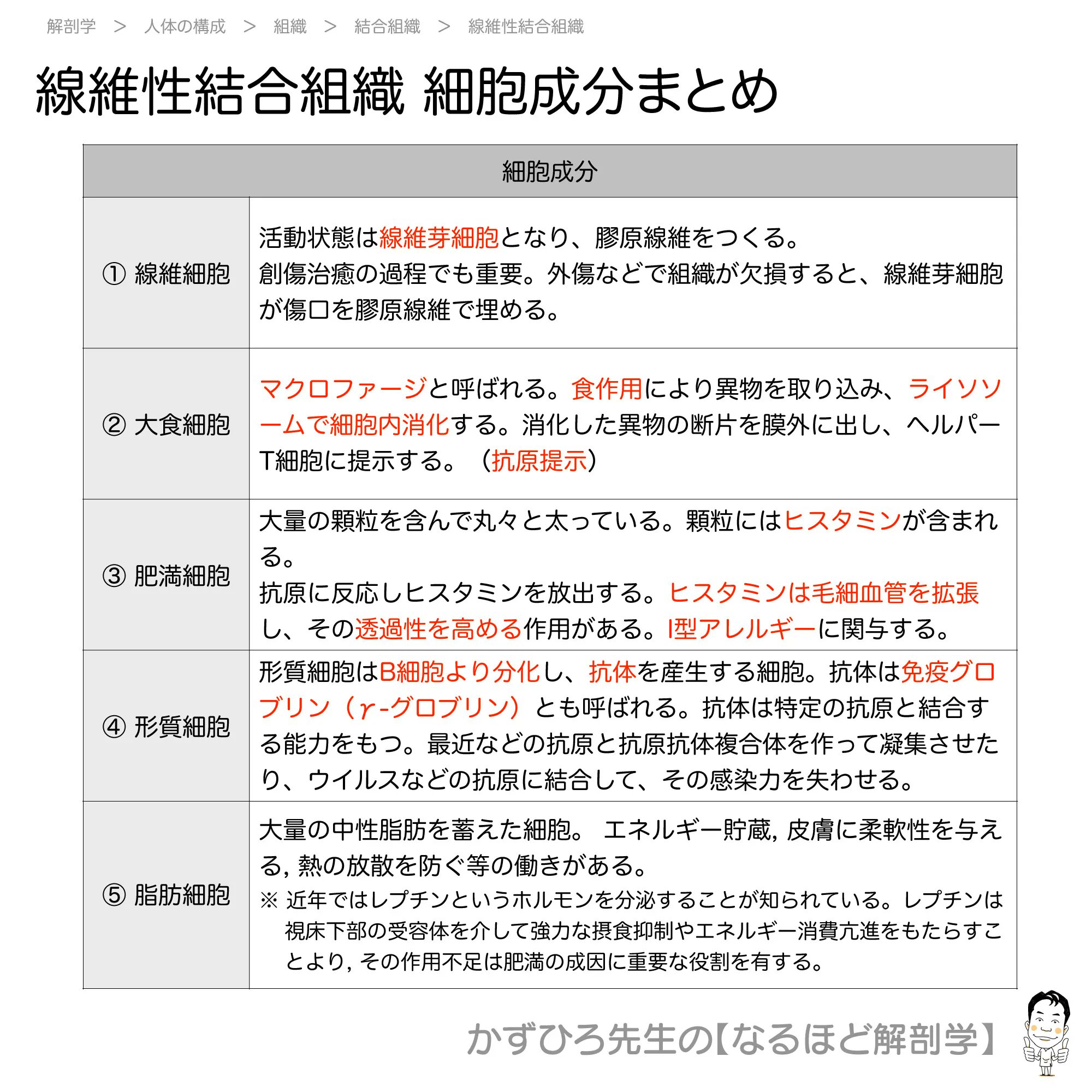71hIPRVBPFL._AC_UF350,