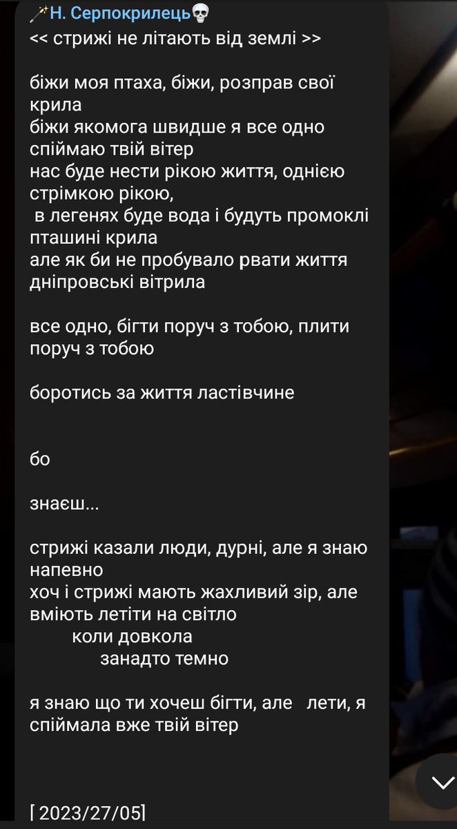 вірш 
<< стрижі не літають від землі >>

#украрт #укррайт #укртві 

перформенс ластівки 

[27.05.23]