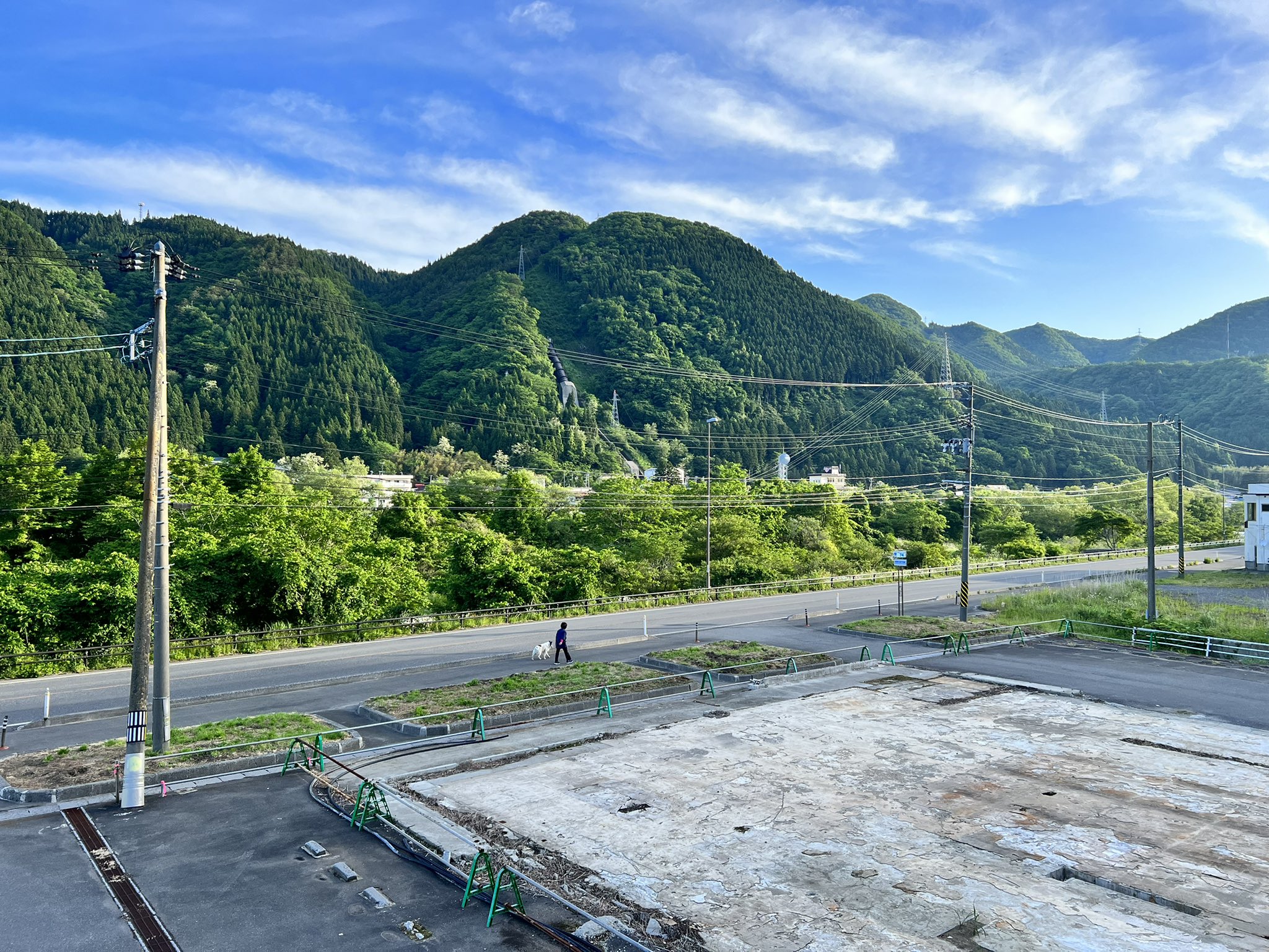 ZOO! GO! GO! on Twitter 