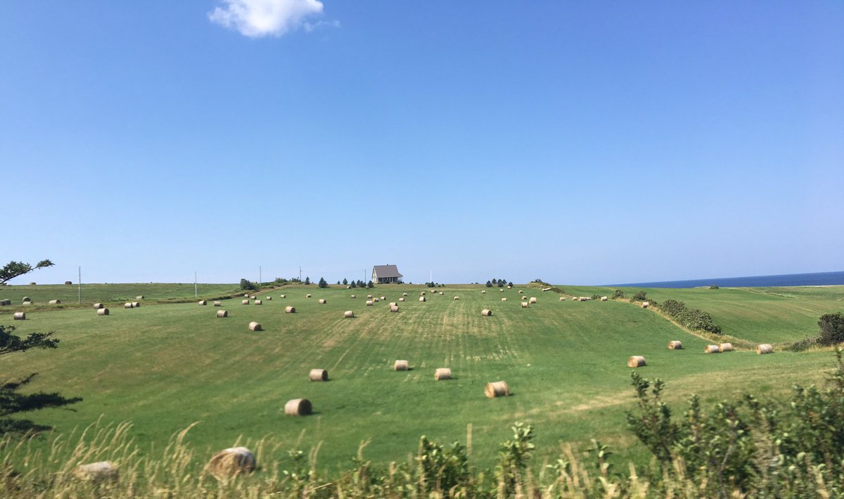 Robin Hicks tweet media