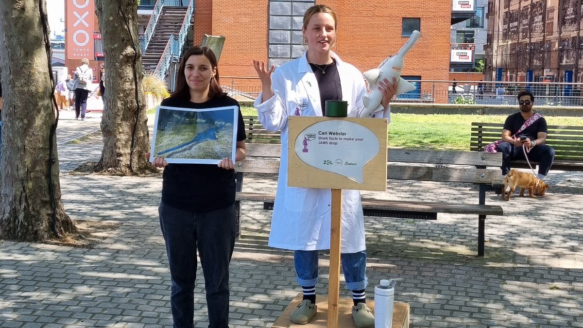 EDGE of Existence tweet media