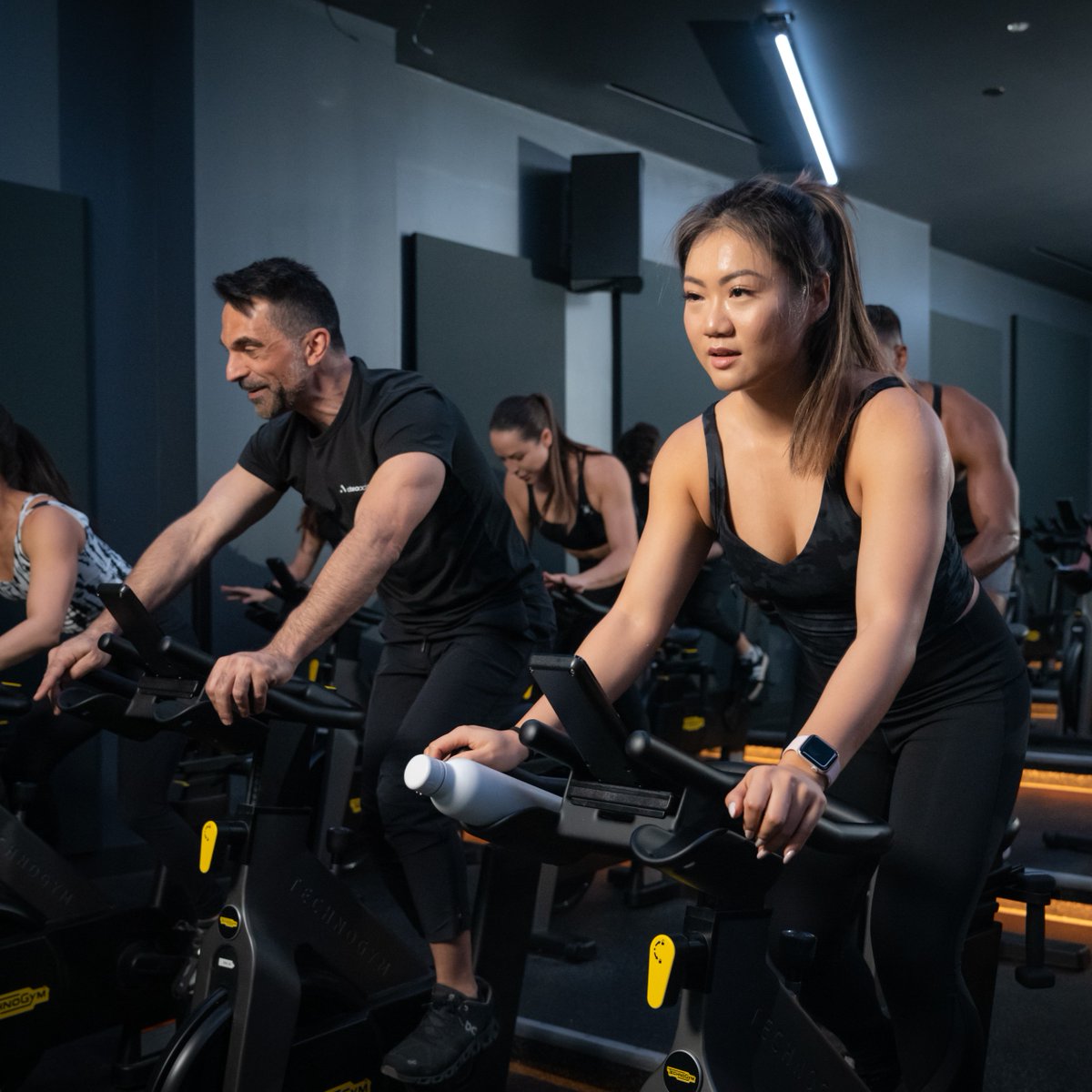 alteaactive tweet media