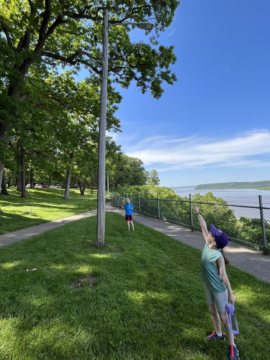 LMKAdams's tweet image. Her new favorite park activity is yelling out a bird name and pointing at it. Seen here yelling BALD EAGLE at the top of her lungs. 🦅