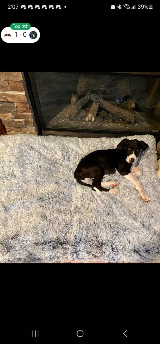 NBA Kirkland (Nick) tweet media