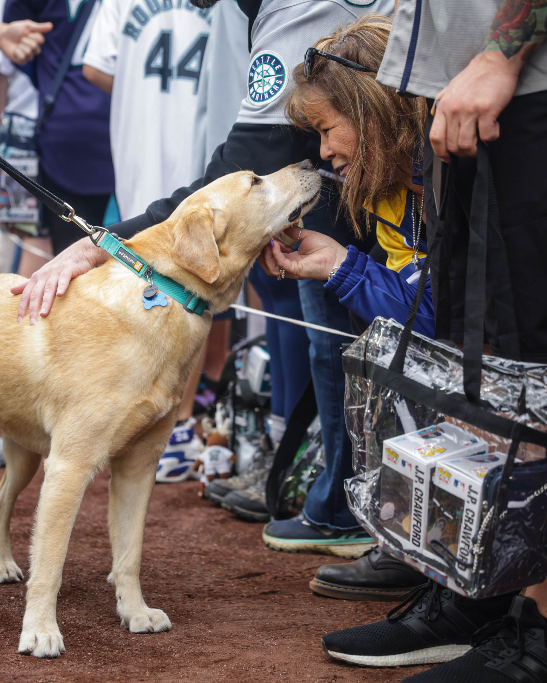 Bark at the Park  Seattle Mariners