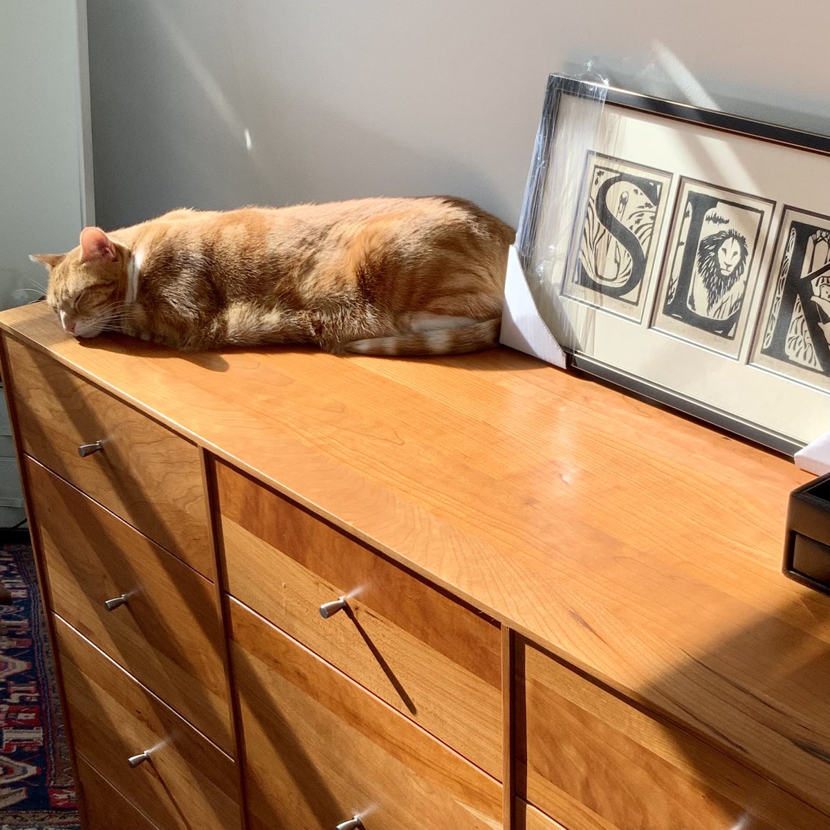 Been finding some primo spots today.