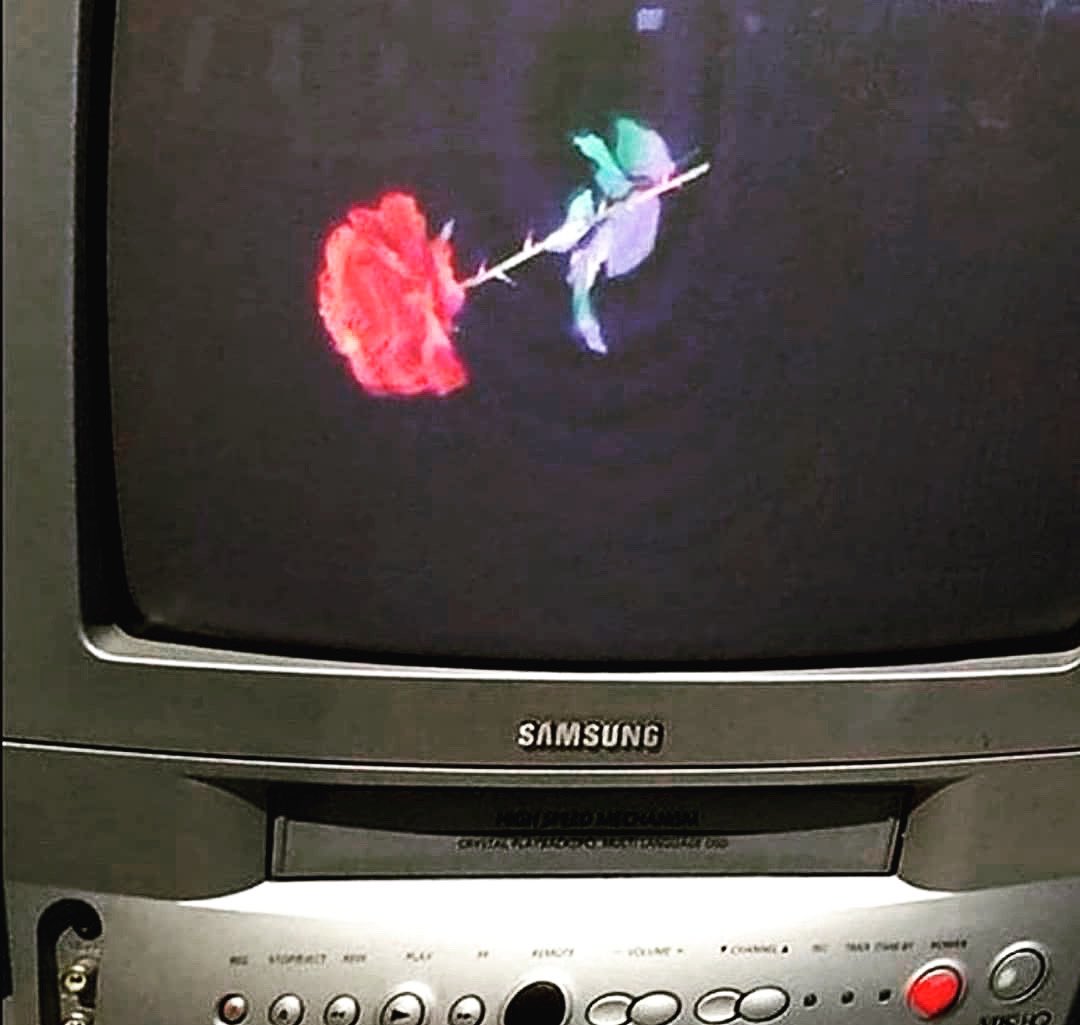 Andrea Dazed (@andreadazed) on Twitter photo 