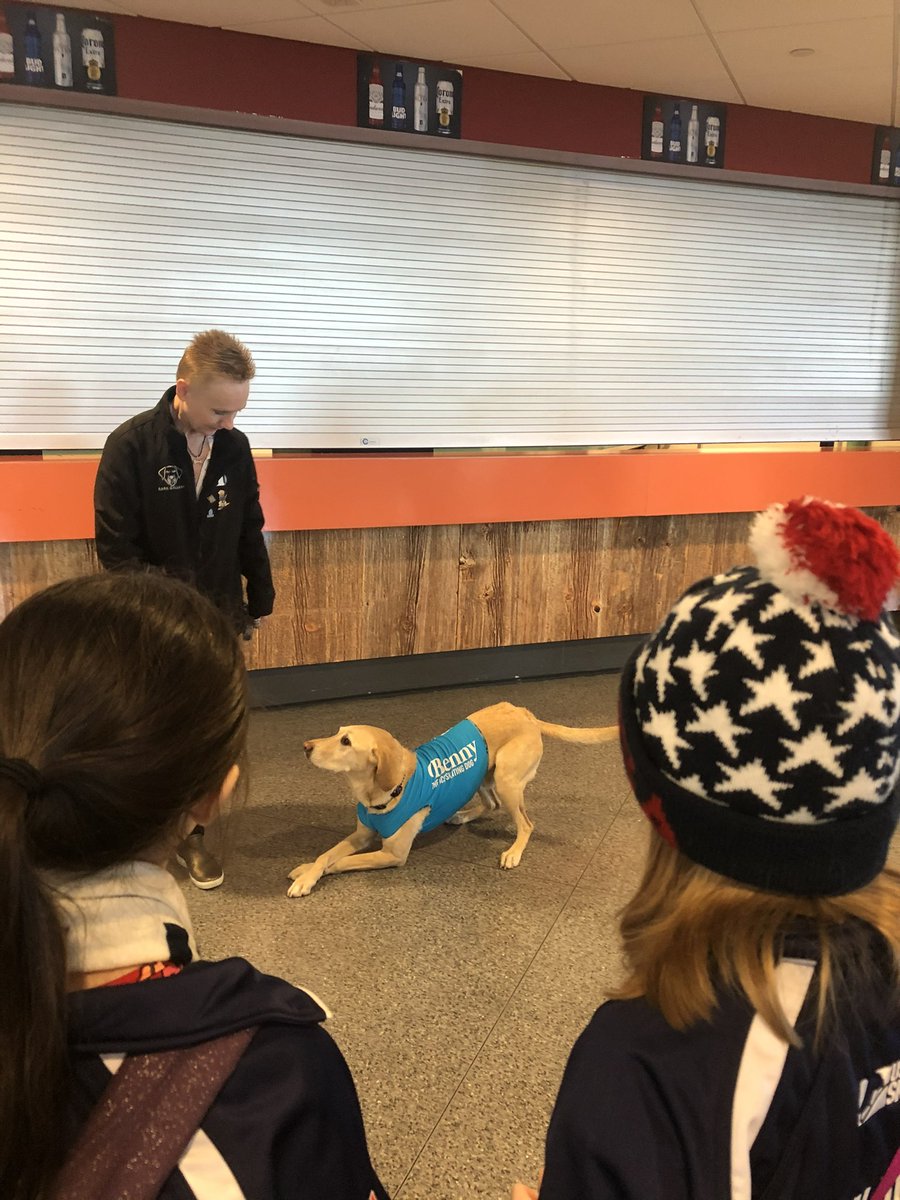 RIP <a href="/vegaskingbenny/">Benny the Ice Skating Dog</a> 
He was sooo sweet💔

#usfsa 
#iceskatingdog 
#teamusa