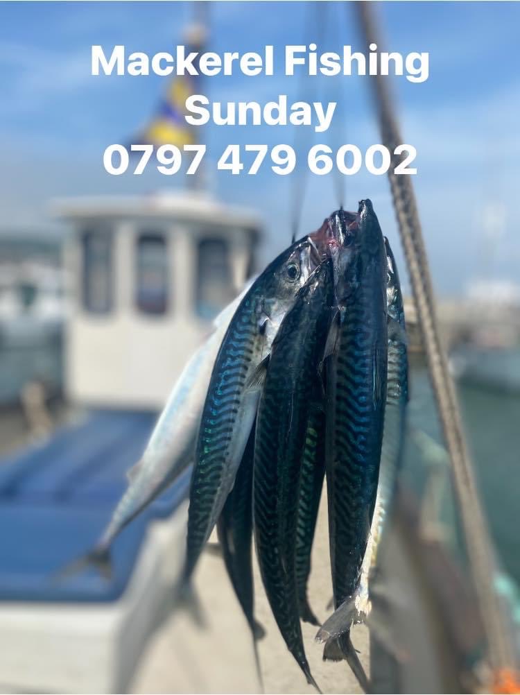Nick's Fishing Trips (@lymefishing) on Twitter photo 