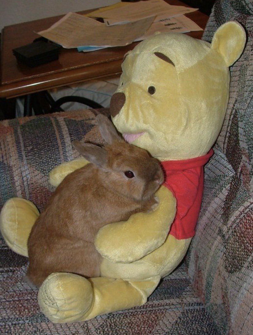 oh to be as snuggly as this bunny is with his Winnie the Pooh plushie