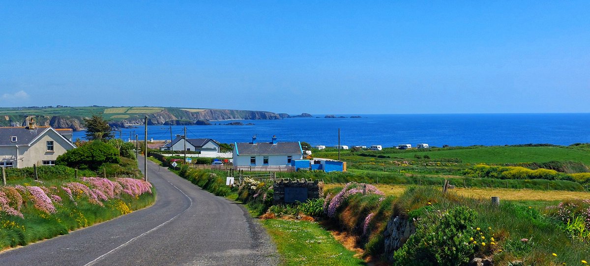 Patrick Kenealy tweet media