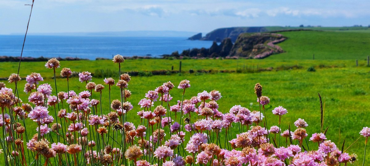 Patrick Kenealy (@patrickkenealy) on Twitter photo Another fabulous day on the Copper Coast, Co Waterford! <a href="/AimsirTG4/">Aimsir TG4 ⚡</a> <a href="/ancienteastIRL/">Ireland's Ancient East</a> <a href="/barrabest/">Barra Best</a> <a href="/deric_tv/">Deric</a> <a href="/DiscoverIreland/">Discover Ireland</a> <a href="/discoverirl/">Discover Ireland</a> <a href="/Failte_Ireland/">Fáilte Ireland</a> <a href="/VisitWaterford/">Visit Waterford</a> <a href="/welovewaterford/">We💙Waterford 🏄🏻♂️</a> <a href="/WaterfordPocket/">Waterford In Your Pocket</a> <a href="/WaterfordANDme/">The long walk home☘️🥀🟰</a> <a href="/TourismIreland/">Tourism Ireland</a> <a href="/GoToIrelandUS/">Tourism Ireland US</a> <a href="/Waterfordcamino/">Celtic Ways Ireland</a> <a href="/WaterfordCounci/">Waterford City & County Council</a> Another fabulous day on the Copper Coast, Co Waterford! <a href="/AimsirTG4/">Aimsir TG4 ⚡</a> <a href="/ancienteastIRL/">Ireland's Ancient East</a> <a href="/barrabest/">Barra Best</a> <a href="/deric_tv/">Deric</a> <a href="/DiscoverIreland/">Discover Ireland</a> <a href="/discoverirl/">Discover Ireland</a> <a href="/Failte_Ireland/">Fáilte Ireland</a> <a href="/VisitWaterford/">Visit Waterford</a> <a href="/welovewaterford/">We💙Waterford 🏄🏻♂️</a> <a href="/WaterfordPocket/">Waterford In Your Pocket</a> <a href="/WaterfordANDme/">The long walk home☘️🥀🟰</a> <a href="/TourismIreland/">Tourism Ireland</a> <a href="/GoToIrelandUS/">Tourism Ireland US</a> <a href="/Waterfordcamino/">Celtic Ways Ireland</a> <a href="/WaterfordCounci/">Waterford City & County Council</a>