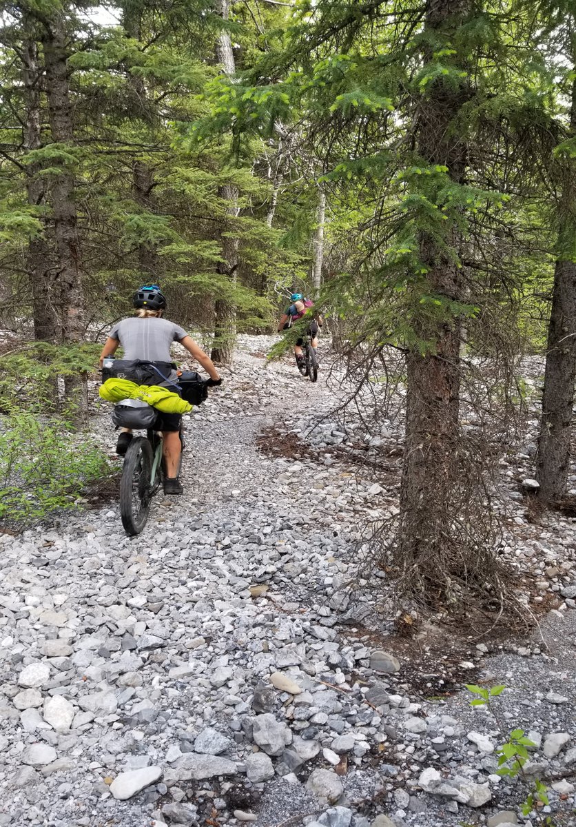 It's the weekend, woohoo! Where are you riding? Weather is looking great and smoke has cleared in Western Canada so time to get out on two wheels! Riding bikes is always our happy place 😀 

#bikepacking #travelalberta #tourismcalgary #canmorekananaskis #biking #canadianrockies