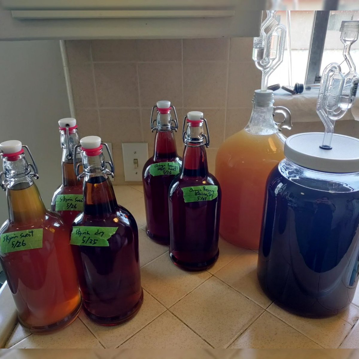 Current adventures in #mead (blueberry and basic honey currently fermenting)